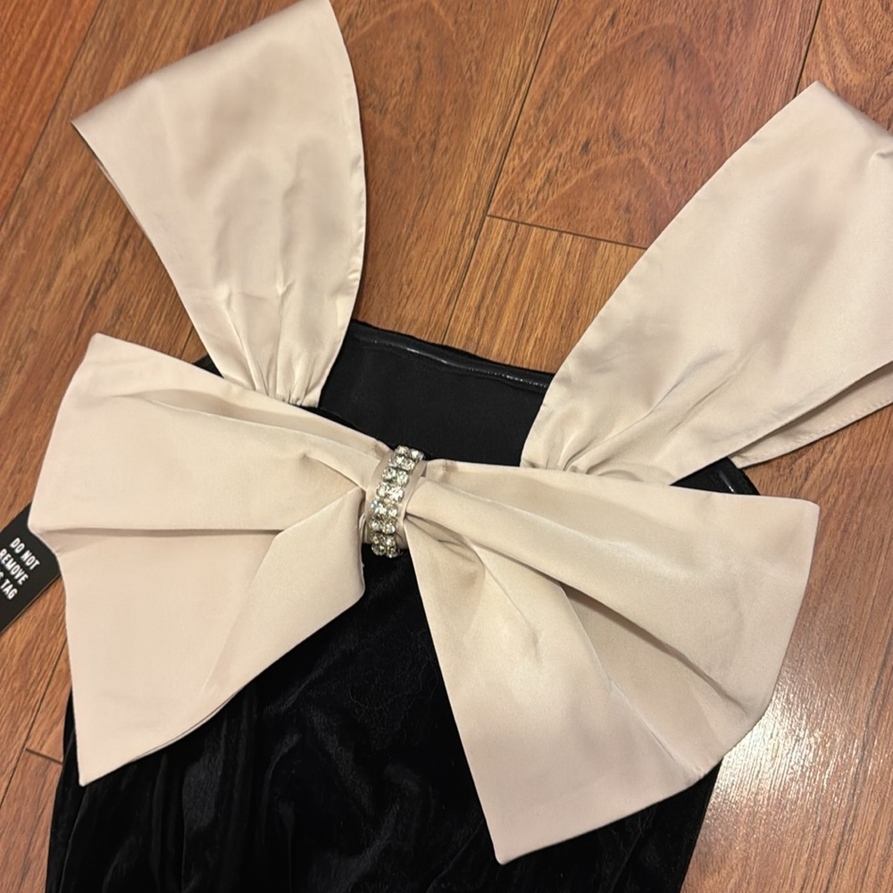 EXPRESS Velvet Bow Bodysuit